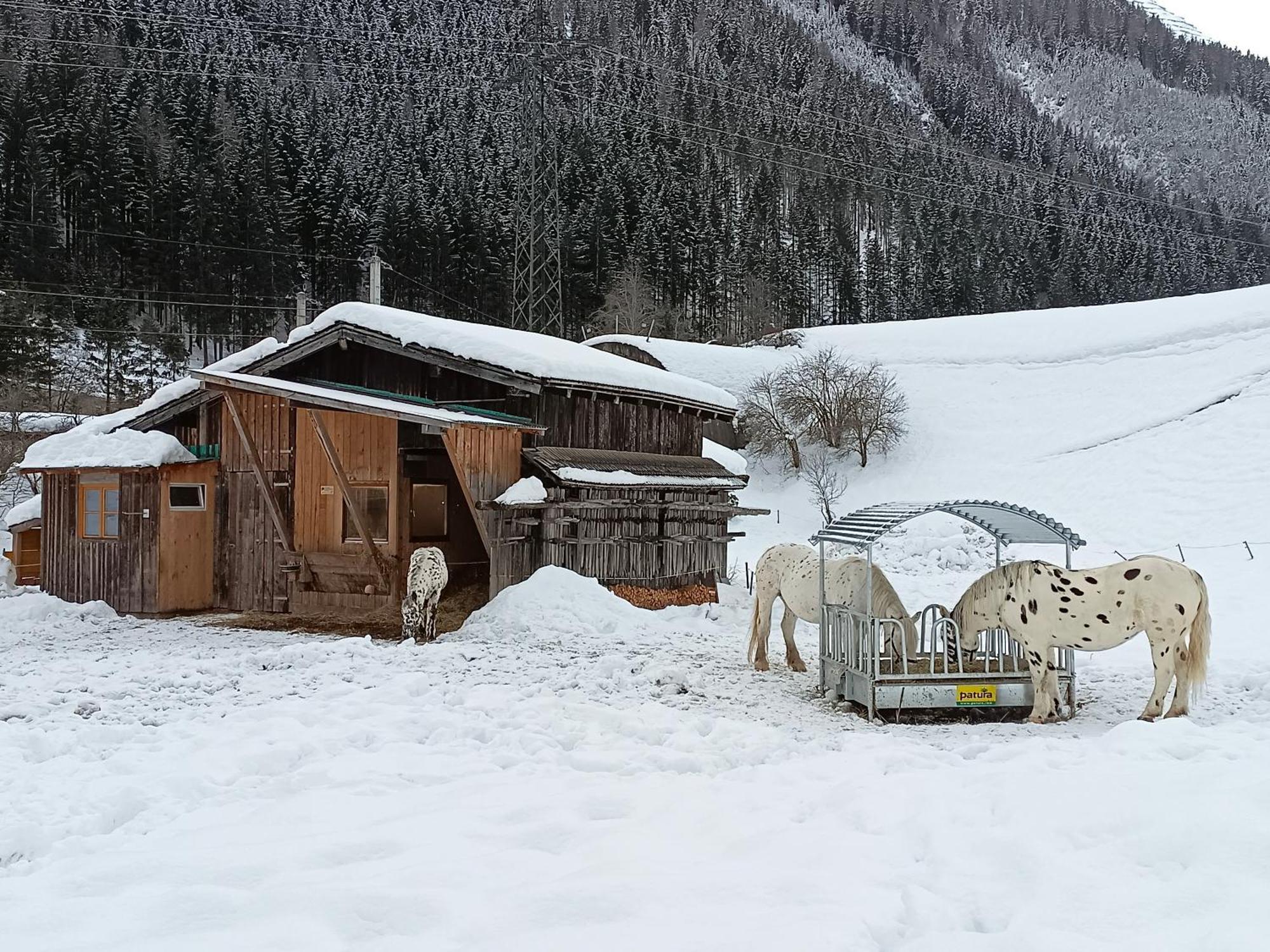 Burgerhof Pettneu am Arlberg Exterior foto